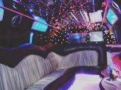 MARIO GIGOLO ofer discretie doamnelor domnisoarelor cupluri .ma deplasez la birou ,hotel .La cere fantezi in limuzina .Tel-whattapp:0731587694