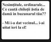 sex chiloti
