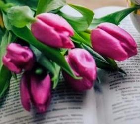 Galați - Escorta Sexy - Pt o relaxare contactează mă Galați micro 18 ofer companie domnilor manierati higienă maxima discreție și seriozitate Galați preț accesibil Galați