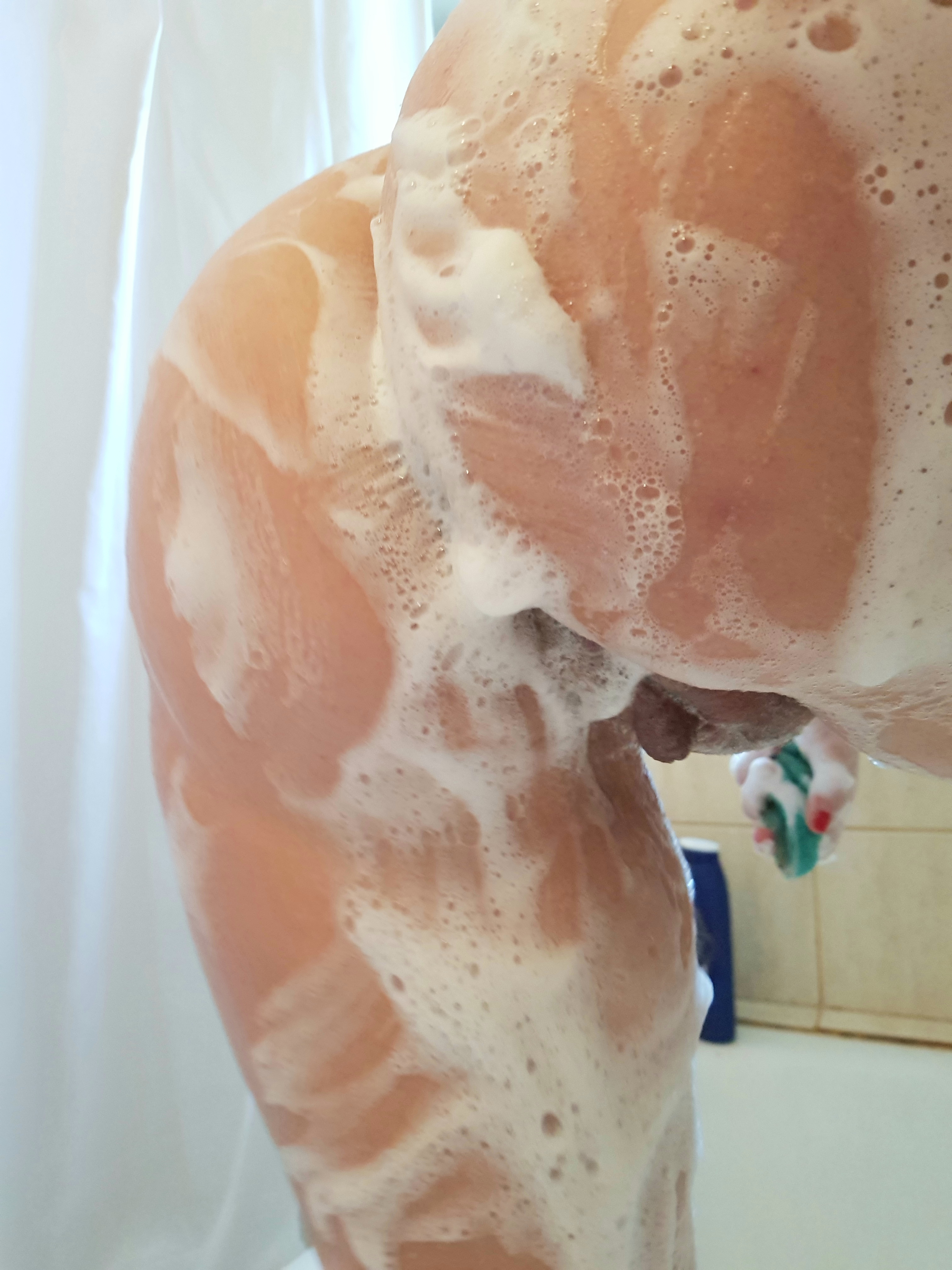Bucuresti - Escorta Sexy - Ca sa ma visezi frumos, facand un uro spumos pe fata si-n gura ta, belindu-ti acadeaua, eu mi-am dat chilotii jos,  sa-mi  vezi lindicul falos cum se umfla si-ti da jet si te uda cu Moet in repetate reprize atunci cand  mi-l trag in poze.  Ai fugi noaptea de-acasa, cat sunt de periculoasa.  Ai veni cu noaptea-n cap, pofta sa ti-o satisfac.  Sunt stapana/dominatoarea Sanziana si te astept  sa ma bei, daca esti insetat de mine! Poze noi, imi apartin in exclusivitate. 
