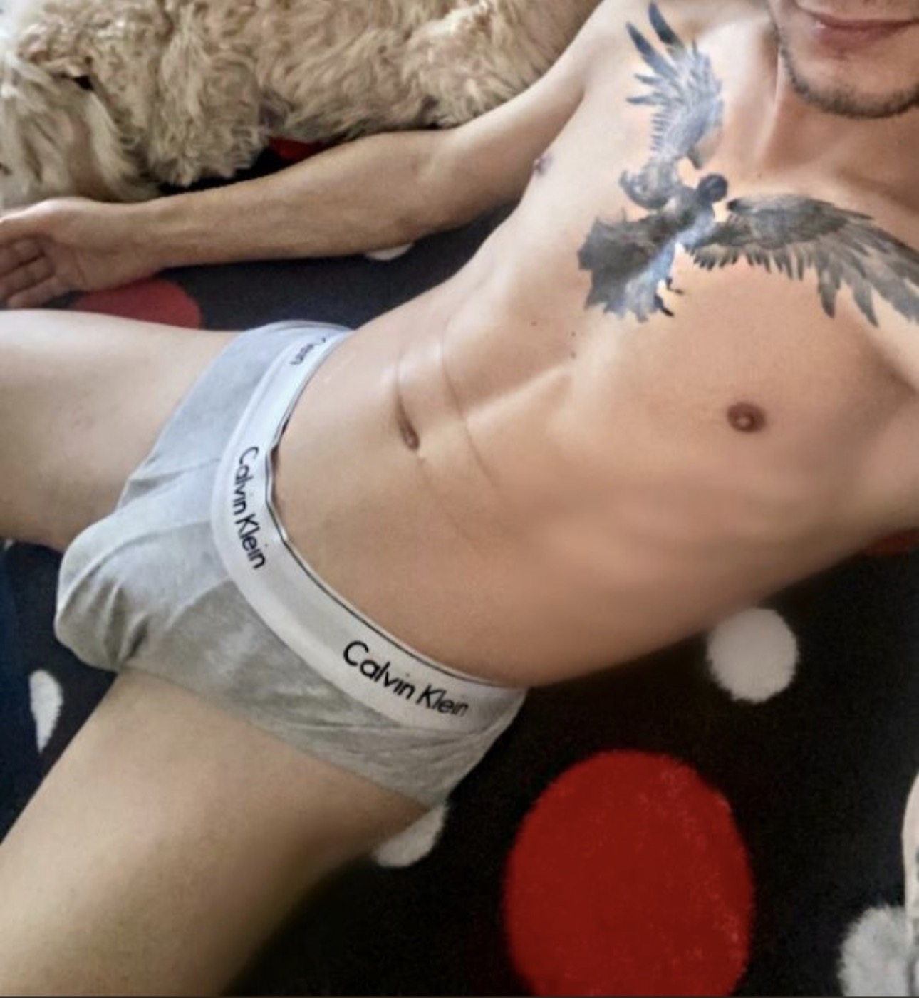 Bucuresti - Escorta Sexy - Salut, ma numesc David , 29 ani , activ cu locatie .  Va ofer masaj de relaxare erotic si multe alte fantezii, trebuie doar sa fi decis ce vrei! Nu raspund la numere private ! Nu trimit poze xxx! Cei ce au pofta de caterinca vor fi blocati! Mai multe detalii va astept la telefon sau whatsApp! Multumesc