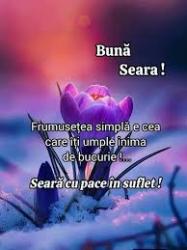 Escorte Sexy - Galați - Escorta matura  te astept la mine domn serios sa-ti ofer cele mai bune servicii de companie, Daca esti un domn caruia ii place atmosfera atunci suna-ma, nu iti va parea rau.  Detalii la telefon. 