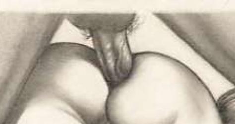 Bucuresti - Escorta Sexy - Sunt bărbat bi curios(pasiv) și caut experiențe sexuale cu cuplu, doamnă sau chiar bărbat activ cu condiția să fie mai dotat sau sa o aibe groasă.  Luăm legătura pe wapp.  Doar persoane curate, discrete și cu capul pe umeri.  Sa nu ne irosim timpul daca nu corespundem.  Poza/pozele îmi aparțin. 